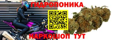 винт Донецк