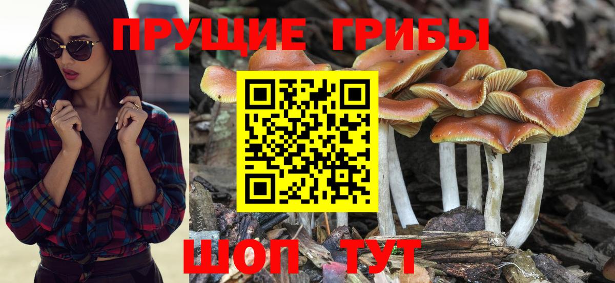 Галлюциногенные грибы MAGIC MUSHROOMS Новый Уренгой