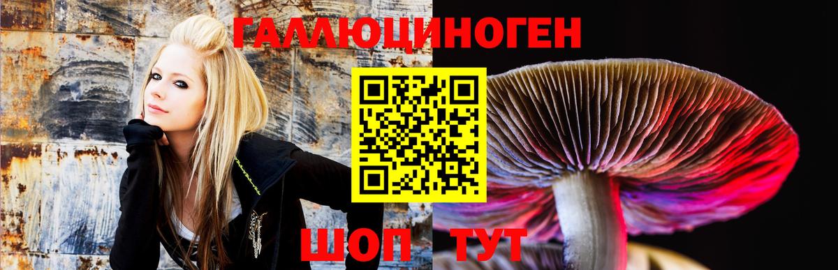 как найти закладки  Псилоцибиновые грибы мухоморы  Вход с VPN  Галлюциногенные грибы Cubensis  Новый Уренгой 